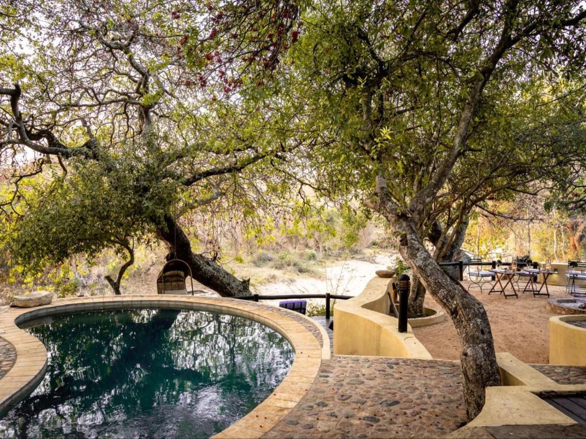 Shimungwe Lodge, Thornybush Game Reserve Hoedspruit Kültér fotó