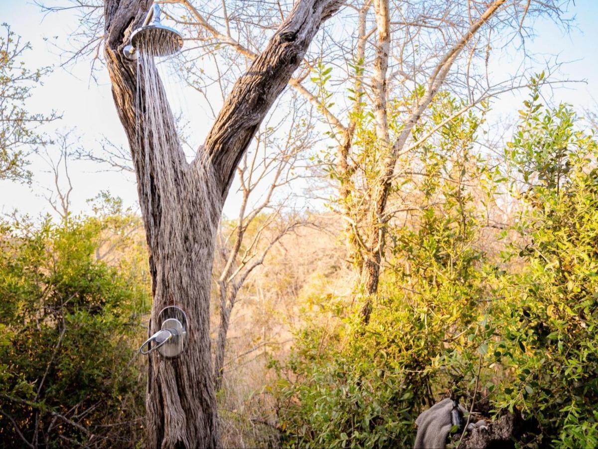 Shimungwe Lodge, Thornybush Game Reserve Hoedspruit Kültér fotó